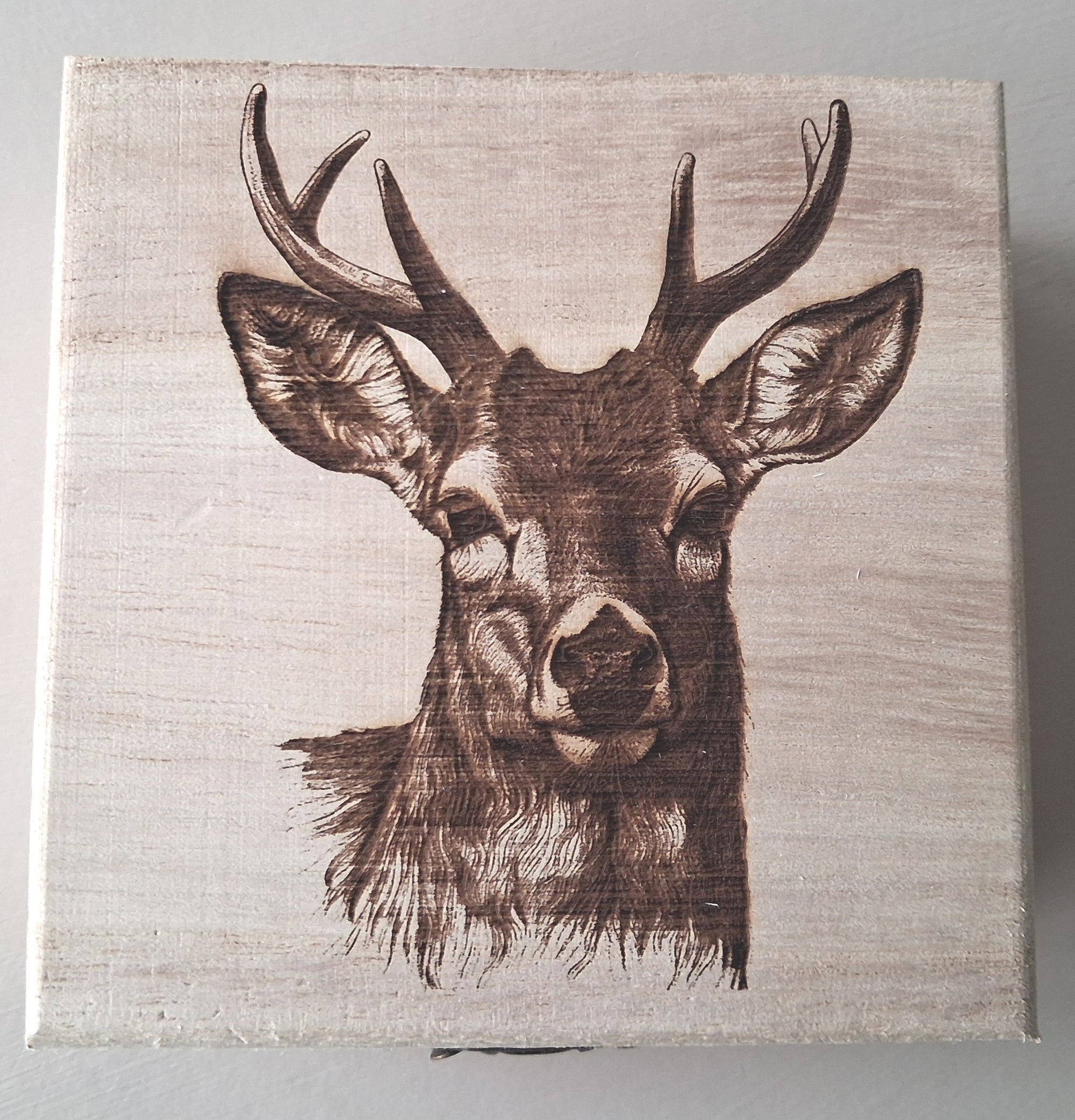 boite en bois gravé du chevreuil